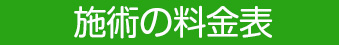 施術の料金表